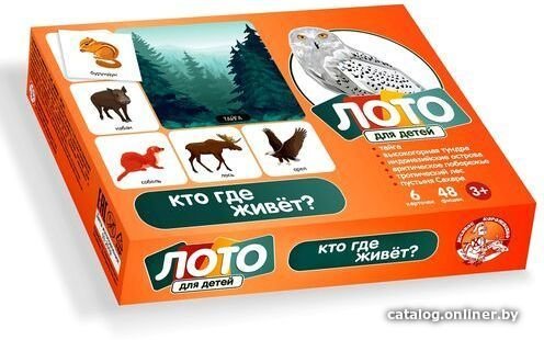 Развивающая игра Десятое королевство Кто где живет? 00078
