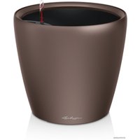 Комнатное растение Lechuza Фикус Бенджамина Экзотика спираль + Classico LS 35