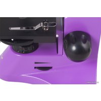 Детский микроскоп Levenhuk Rainbow 50L Plus (аметист) 69052