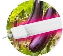 

Линейный светильник ЭРА FITO-36W-RB-N