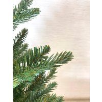 Ель GreenTerra Ноэлла 0.9 м