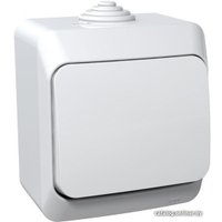 Выключатель Schneider Electric Этюд BA10-041B