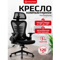 Офисное кресло Evolution HarmonySpine (черный)