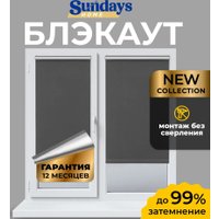 Рулонные шторы Sundays Home LM 167-07 78х215 (темно-серый)