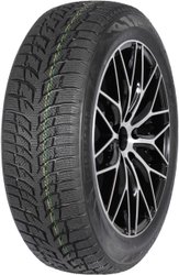 Snow Chaser 2 AW08 195/55R15 85T