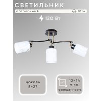 Припотолочная люстра Aitin Pro НПБ 02-3x40-101 51171/3 (черный)