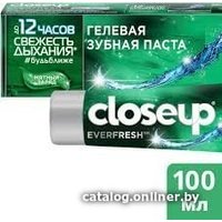 Зубная паста Close Up Everfresh Мятный заряд 100 мл