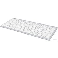 Клавиатура A4Tech Fstyler FX51 (серебристый/белый)