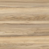 Кровать с выдвижным спальным местом Сонум Martin 90x200 (ясень ориноко)