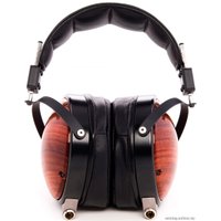Наушники Audeze LCD-XC (кленовый)