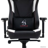 Игровое (геймерское) кресло Evolution Project A (черный/белый)