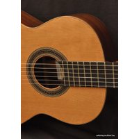 Акустическая гитара Camps SP-6-C