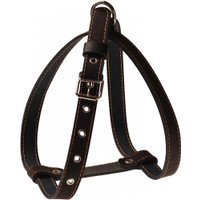 Шлея Gamma Хампо 142417