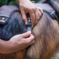 Шлея Ferplast Ergotrekking XS 75467000 (XS, коричневый)