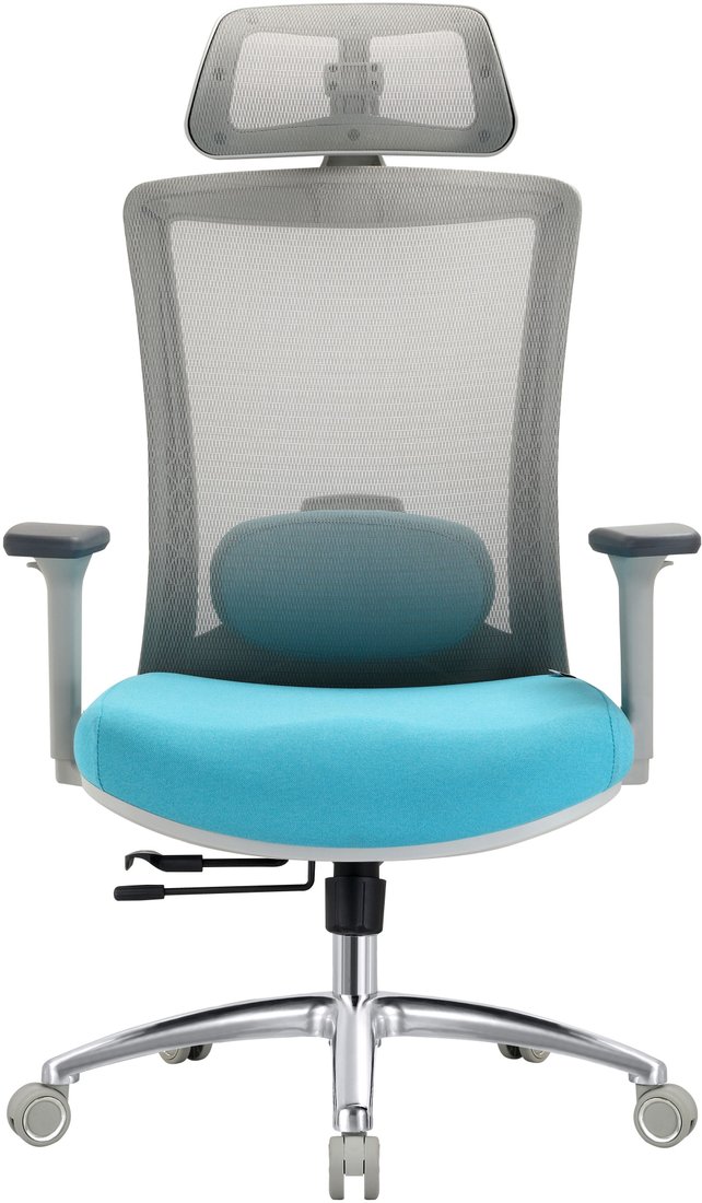 

Офисное кресло Evolution ERGO Prime Sky Blue (серый/бирюзовый)