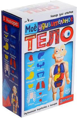 Набор для опытов Эврики Мое удивительное тело 5483302