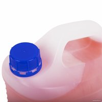  Золотой идеал Мыло жидкое Deluxe Персик 607496 5 л