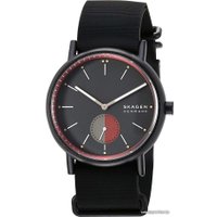 Наручные часы Skagen Signatur SKW6540