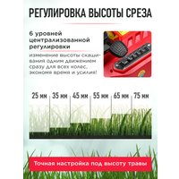 Газонокосилка Wortex CLM 3836 ALL1 0333235 (без АКБ)