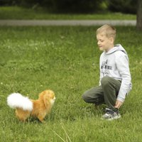 Классическая игрушка Hansa Сreation Померанский шпиц 7018 (28 см)