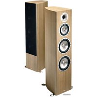 Напольная акустика Acoustic Energy Radiance 2