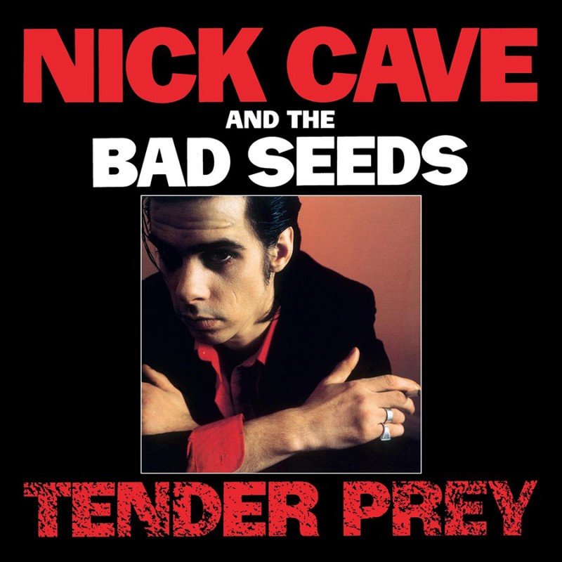 

Виниловая пластинка Nick Cave & The Bad Seeds - Tender Prey