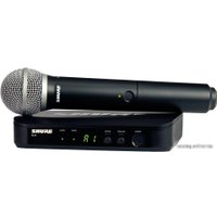 Радиосистема Shure BLX24E/PG58-M17