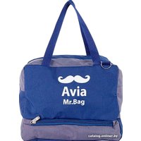 Дорожная сумка Mr.Bag 108-79041-NGR (серый)