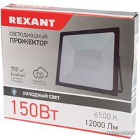Уличный прожектор Rexant 605-006