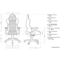 Игровое (геймерское) кресло Cougar Armor One Eva