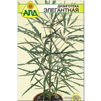 Семена цветов АПД Дизиготека элегантная 5 шт