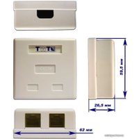 Розетка компьютерная TWT TWT-SM2-4512-WH