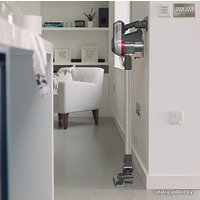 Пылесос Dirt Devil Cavalier [DD698-1]