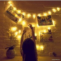 Светодиодная гирлянда MonAmi CL-04 5 м 25 (теплый белый)