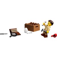 Конструктор LEGO Ideas 21320 Кости динозавра