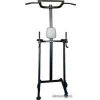 Турник с брусьями DFC VT-7003