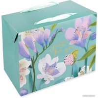 Пакет подарочный Stilerra BBOX-1M 02 18x13x23 см