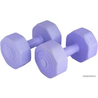 Набор гантелей Atemi AD-02 2x4 кг