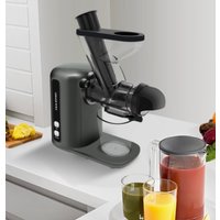 Соковыжималка Oulemei OLM-YZA001