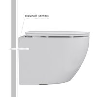 Унитаз подвесной Berges Wasserhaus Okus Rimless + Visam Slim 525 EX-043391 (с сиденьем)