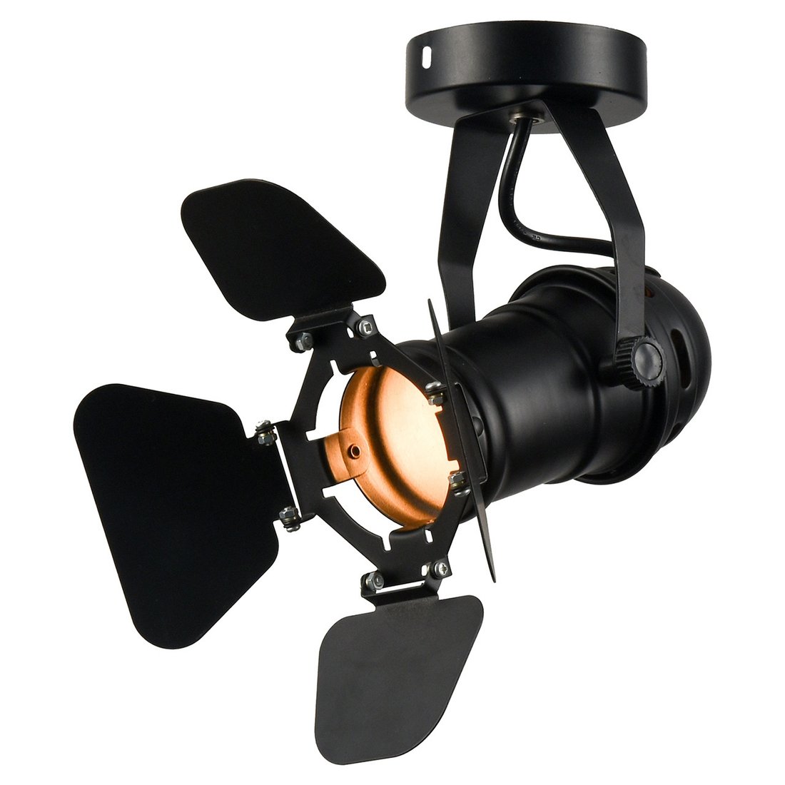 

Спот Lussole Loft Expression LSP-9838