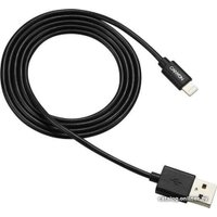 Кабель Canyon MFI-1 CNS-MFICAB01B USB Type-A - Lightning (1 м, черный)