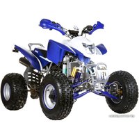 Квадроцикл IRBIS ATV 250S