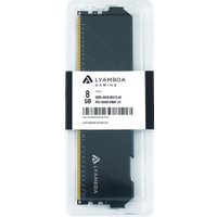 Оперативная память Lyambda Gaming 8ГБ DDR5 4800 МГц LRD5M48C40N1G/8 в Пинске