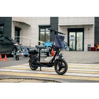 Электросамокат AVM Delta Big (черный)