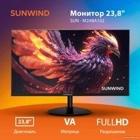 Монитор SunWind SUN-M24BA102