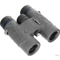 Бинокль Levenhuk Nitro 8x32 (черный)