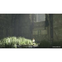  The Last Guardian. Последний хранитель для PlayStation 4