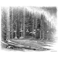 Книга издательства Азбука. Хроники темных времен. Книга 9 (Пейвер М.) в Орше