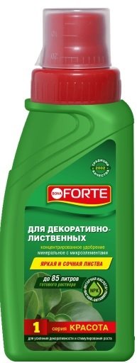 

Удобрение Bona Forte Жидкое комплексное для декоративно-лиственных растений BF21010261 285 мл
